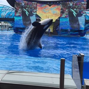 Meet your Posher, Sam