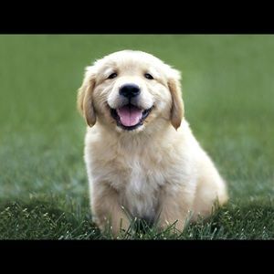 Meet your Posher, Hope