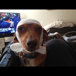 Meet your Posher, Rachel