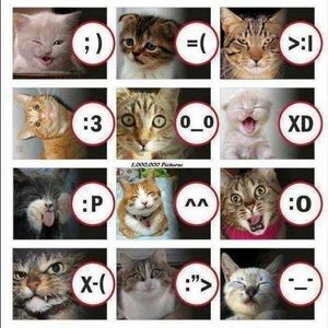 Meet your Posher, Irma