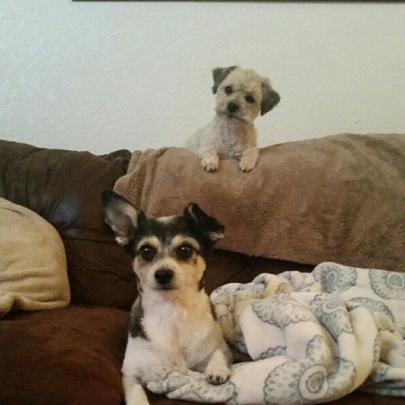 Meet your Posher, Christina