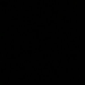 Meet your Posher, Areli