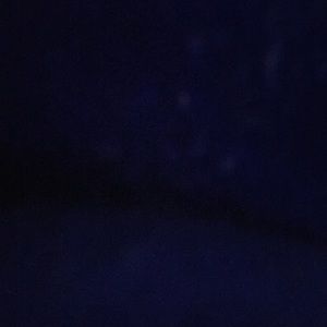 Meet your Posher, Dani