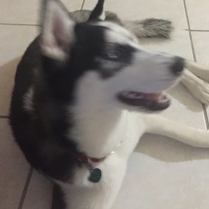 Meet your Posher, Eliza