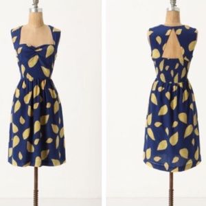 Anthropologie Tupelo Dress by Maple