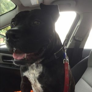 Meet your Posher, Marjory