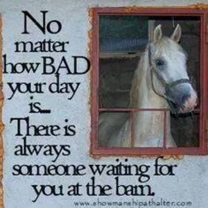 Meet your Posher, Dawn