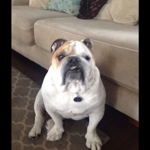 Meet your Posher, Wendy