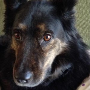 Meet your Posher, Chloe