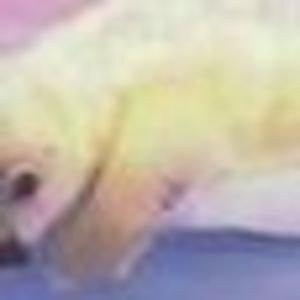 Meet your Posher, Jody