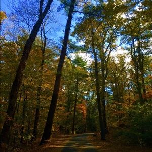 Meet your Posher, Jess