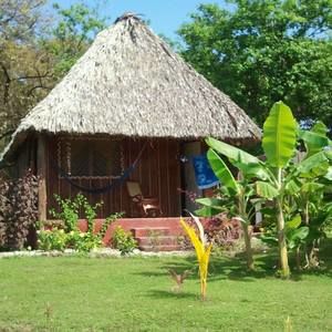 Meet your Posher, Carla