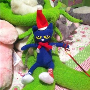 Meet your Posher, Heidi