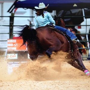 Meet your Posher, Taylor