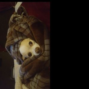 Meet your Posher, Heidi