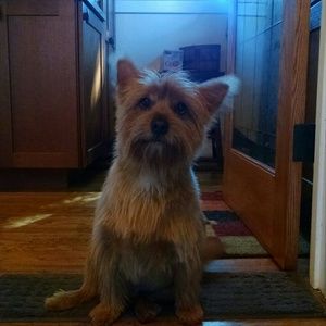 Meet your Posher, Linda