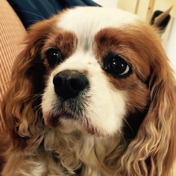 Meet your Posher, Carrie