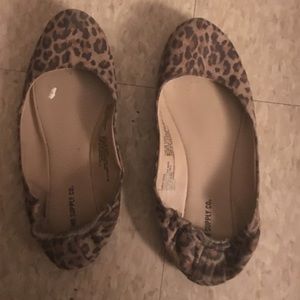 Cheetah Flats