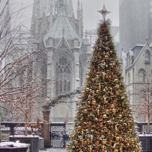 Meet your Posher, Ariana