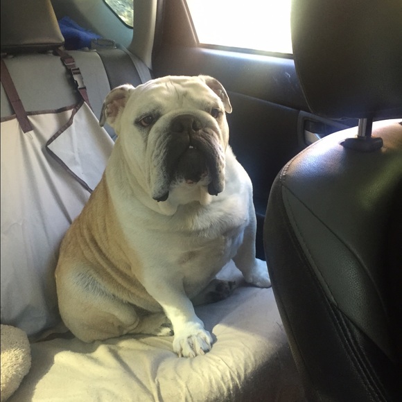 Meet your Posher, Katie - Picture 2 of 2