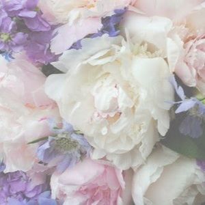 Meet your Posher, Anastasia