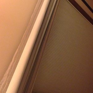 Meet your Posher, Carter