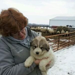 Meet your Posher, Kay