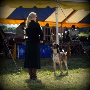 Meet your Posher, Whitney