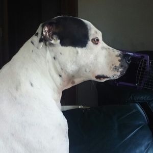 Meet your Posher, Braden