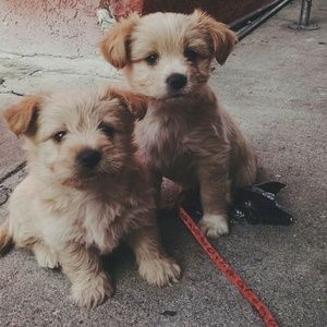 Meet your Posher, Edwin