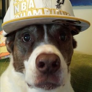 Meet your Posher, Deyanna