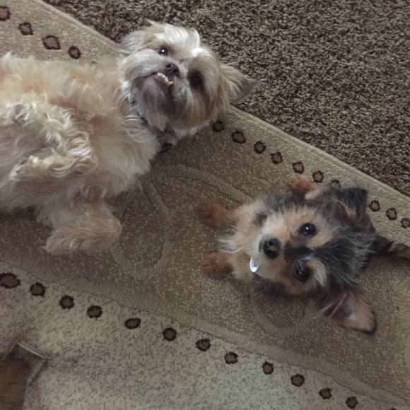 Meet your Posher, Gina