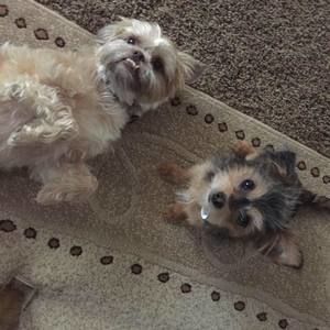 Meet your Posher, Gina