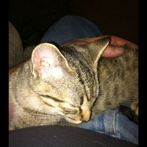 Meet your Posher, Ann