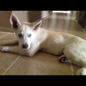 Meet your Posher, Martha