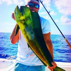 Meet your Posher, Peter