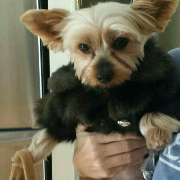 Hello I'm Michelle & I'm a Posh Ambassador 2 🤗 - Picture 4 of 5