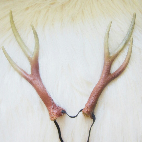 Deer Antlers