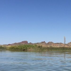 Meet your Posher, Lindsay