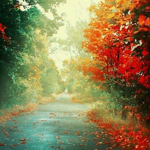 Meet your Posher, Rosa