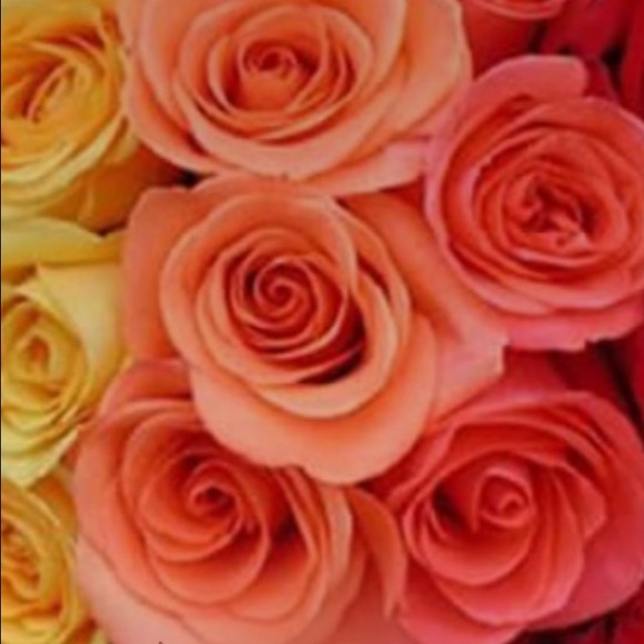 Meet your Posher, Michele