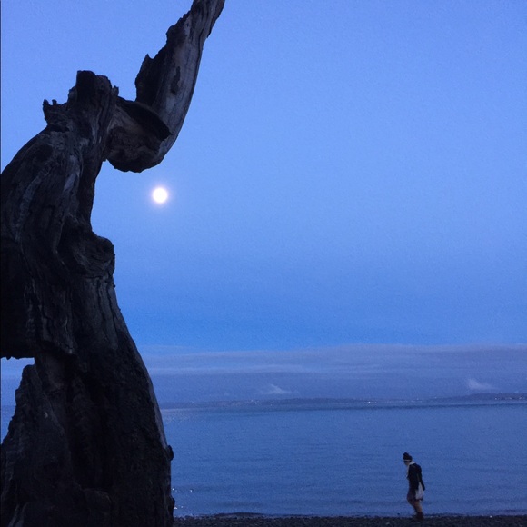 Meet the Posher! - Picture 2 of 4