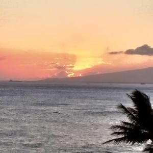 Meet your Posher, Shirley