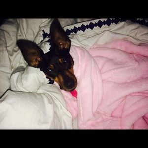 Meet your Posher, Tiffany