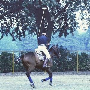 Meet your Posher, Taimur