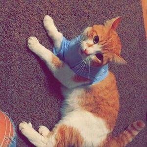 Meet your Posher, Miranda