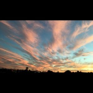 Meet your Posher, Chelsea