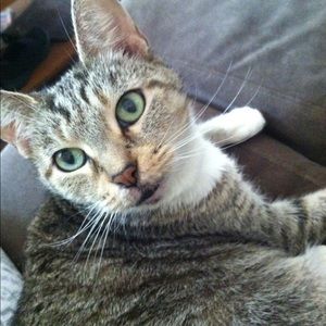 Meet your Posher, Christina