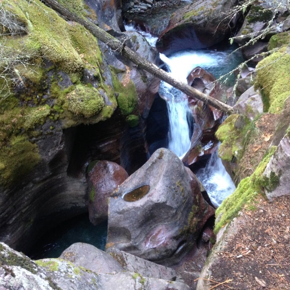 Meet your Posher, Paityn