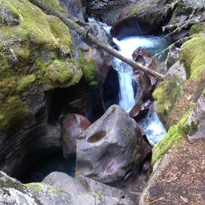 Meet your Posher, Paityn